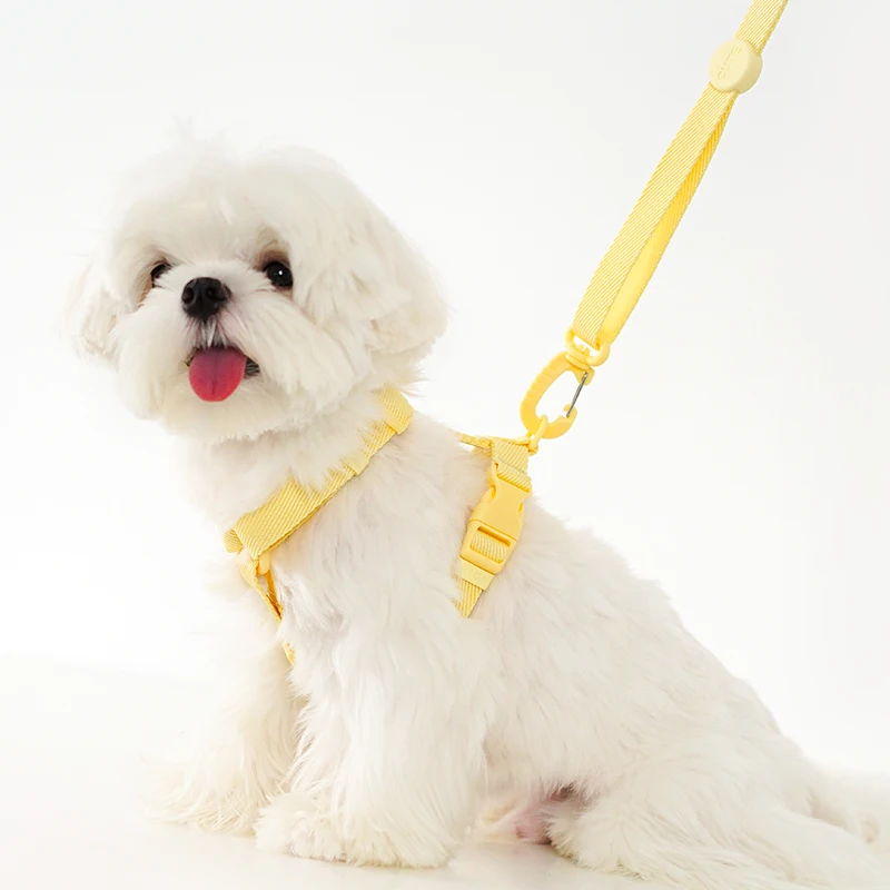 Adjustable Dog Harness Collar Leash Set Macarone Color, Reflective Small Dog Accessories for Puppy & Cat Supplies, Pet Walking - Image 3