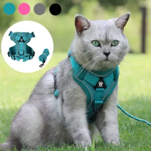 Breathable Cat Harness Leash for Small Medium Dogs Cats Adjustable Reflective Harnesses Pets Vest Puppy Maine Sphynx Supplies