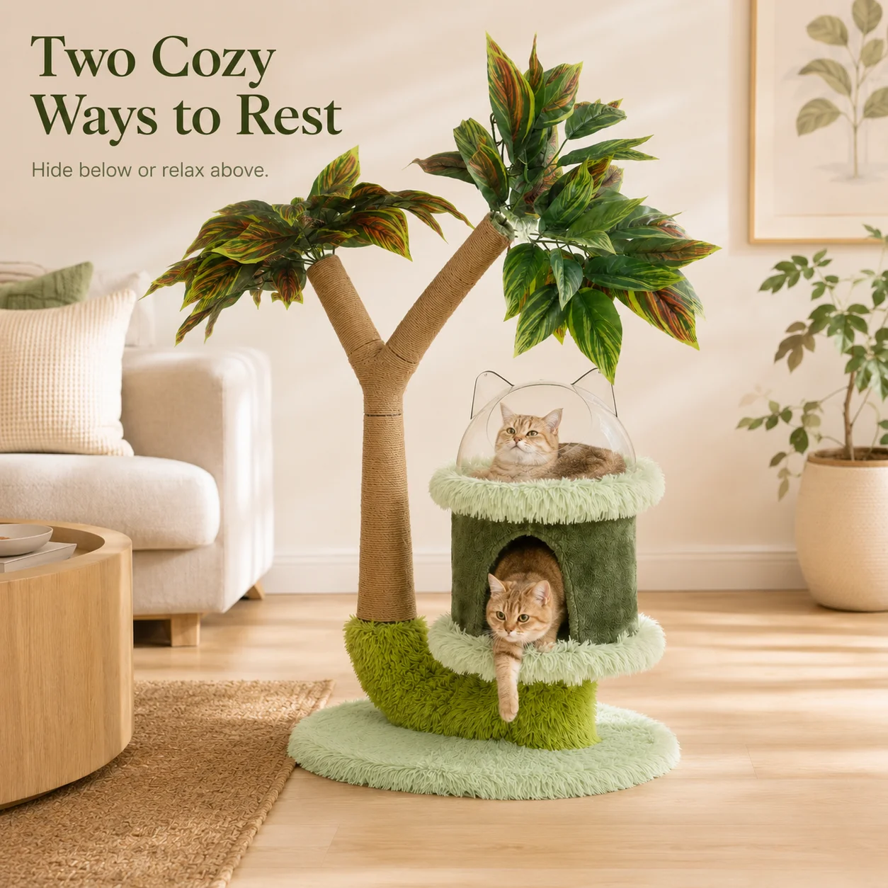 Mango Tree Cat Tree for Small Cats - Cozy Perch Fun Platform Scratching Post - Cat Furniture with Natural Sisal Rope - Image 3